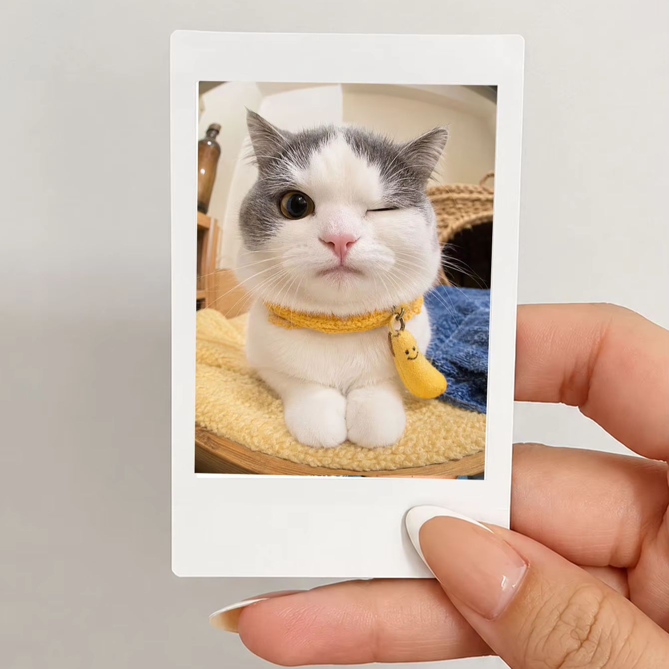1/3/5枚のカスタム写真プリント。クリスマスシーズンのパー - Photographic Memory のレビューと価格